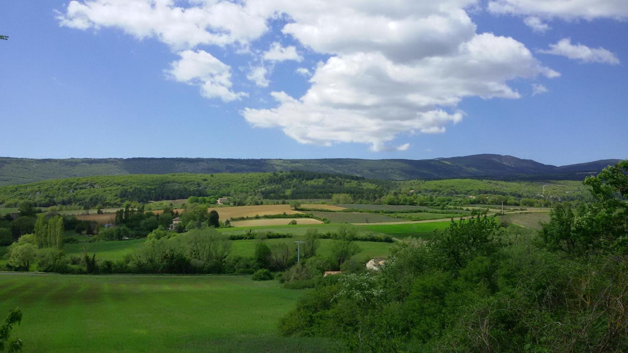 Le Grain De Lavande - Mont Ventoux Sault-de-Vaucluse Exterior photo